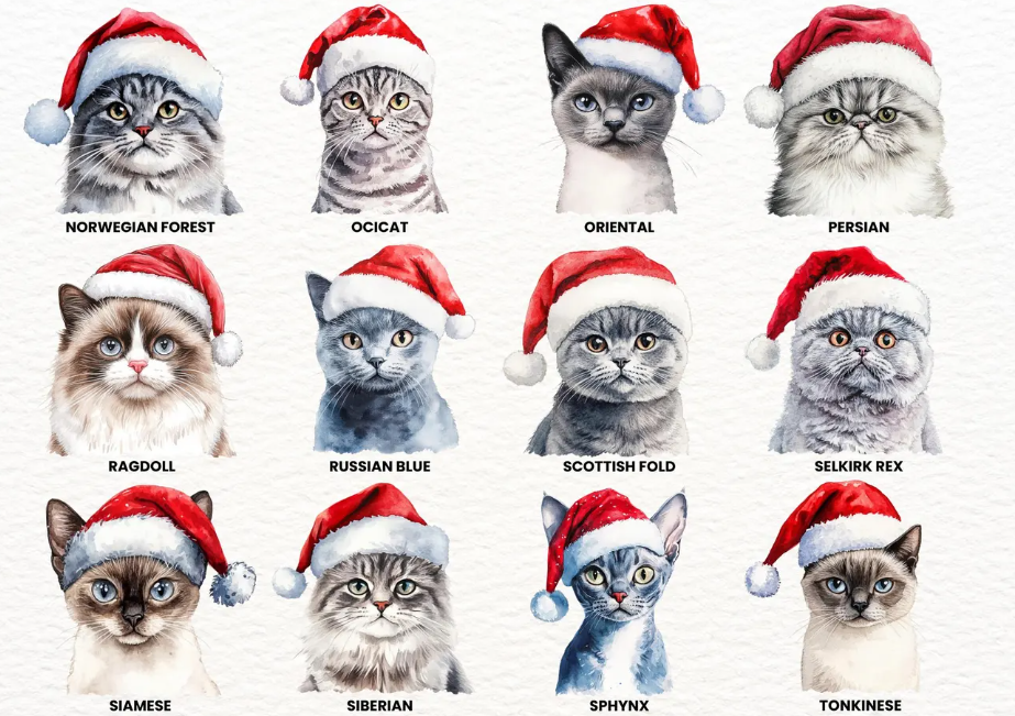 Christmas Cat and Dog Crewneck Sweatshirt